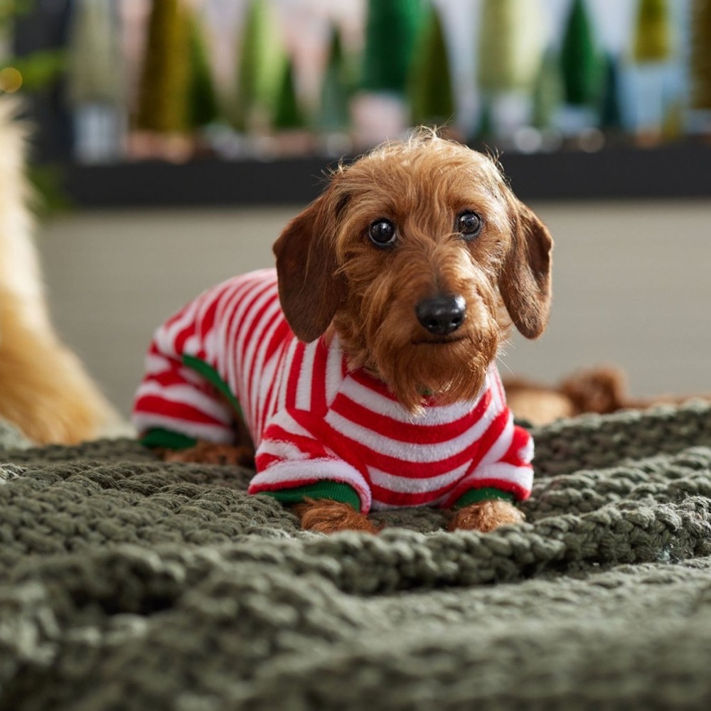 dog christmas pajamas - size small